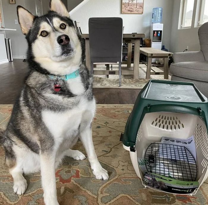 16 pessoas cujas esperanças foram destruídas pela realidade 12