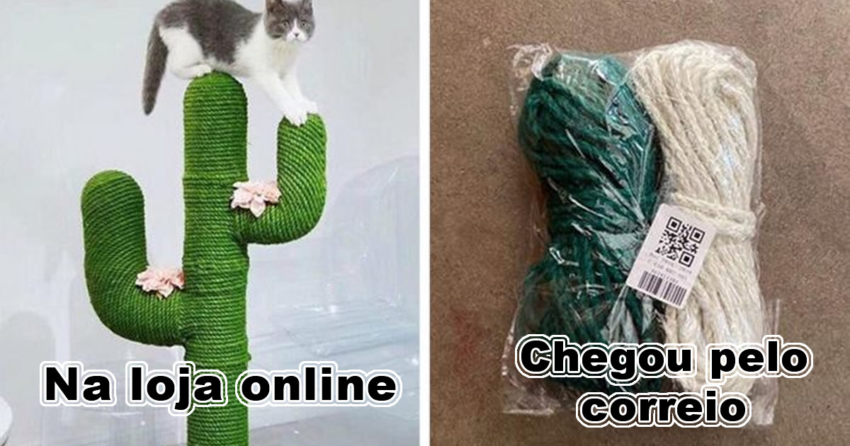 16 pessoas cujas esperanças foram destruídas pela realidade