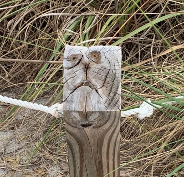 15 vezes em que as coisas fingem ser outra coisa para enganar o nosso cérebro 2