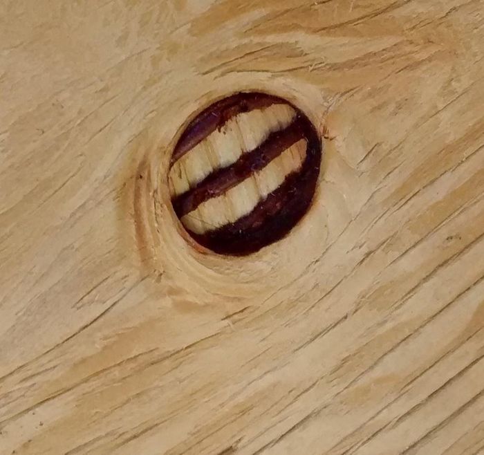 15 vezes em que as coisas fingem ser outra coisa para enganar o nosso cérebro 6