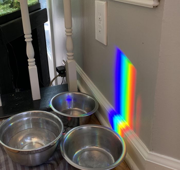 15 vezes que a natureza decidiu decorar o mundo à sua maneira 4