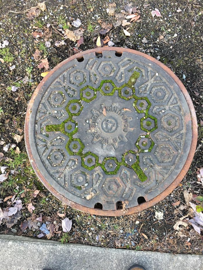 15 vezes que a natureza decidiu decorar o mundo à sua maneira 5