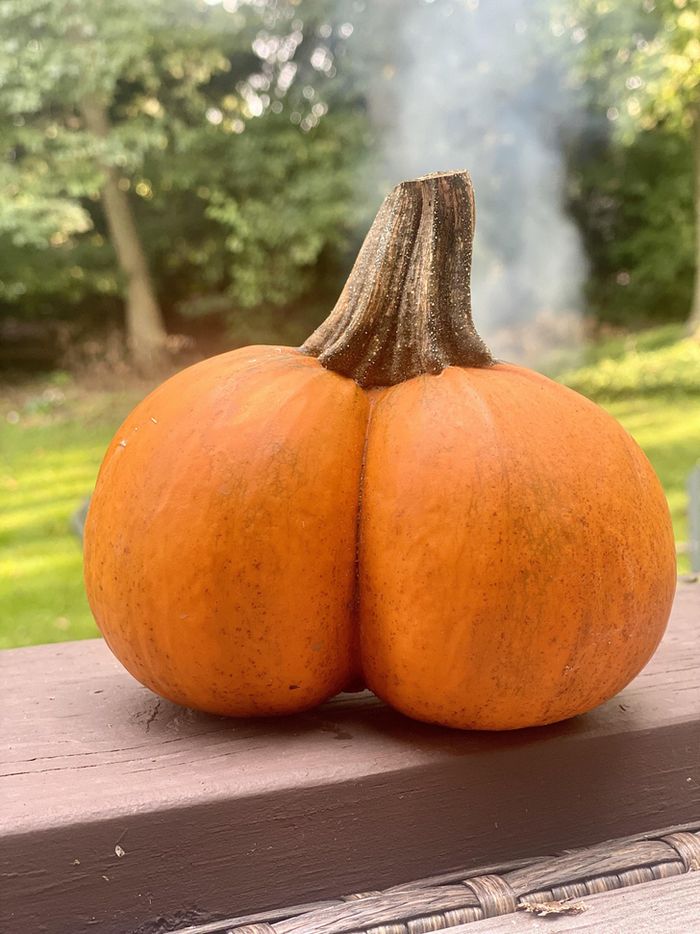 15 vezes que a natureza decidiu decorar o mundo à sua maneira 7