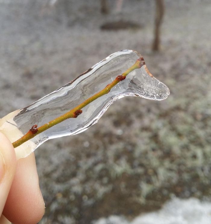 15 vezes que a natureza decidiu decorar o mundo à sua maneira 8