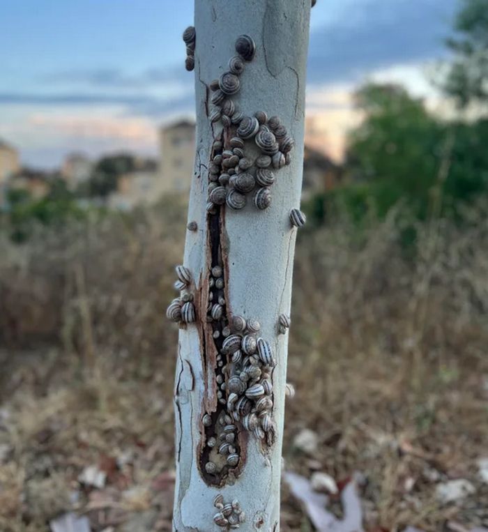 15 vezes que a natureza decidiu decorar o mundo à sua maneira 10