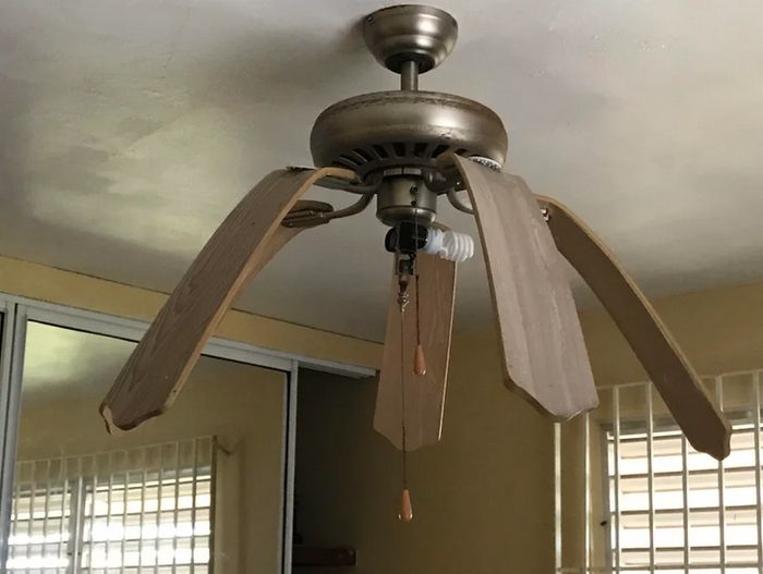 15 vezes que a natureza decidiu decorar o mundo à sua maneira 11