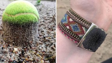 15 vezes que a natureza decidiu decorar o mundo à sua maneira 35