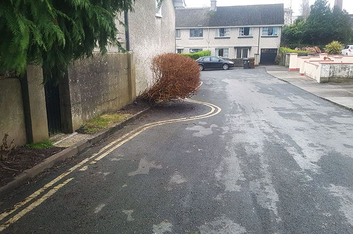 28 vezes que as pessoas levaram a preguiça a outro nível e fizeram o sangue dos outros ferver 8