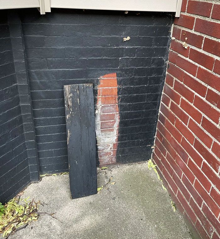 28 vezes que as pessoas levaram a preguiça a outro nível e fizeram o sangue dos outros ferver 13