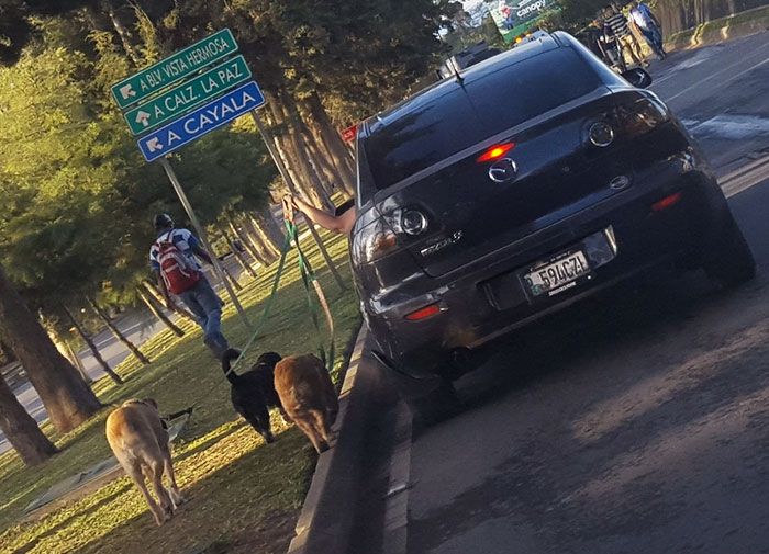 28 vezes que as pessoas levaram a preguiça a outro nível e fizeram o sangue dos outros ferver 14