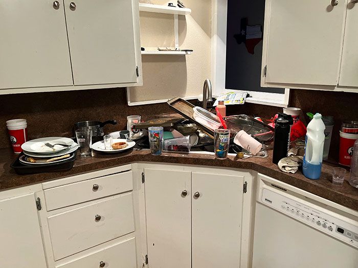 28 vezes que as pessoas levaram a preguiça a outro nível e fizeram o sangue dos outros ferver 20