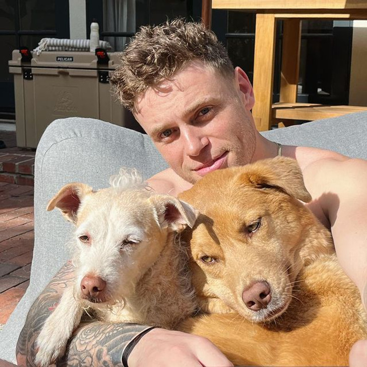 25 celebridades que trouxeram alegria para suas vida com um animal de estimação 25