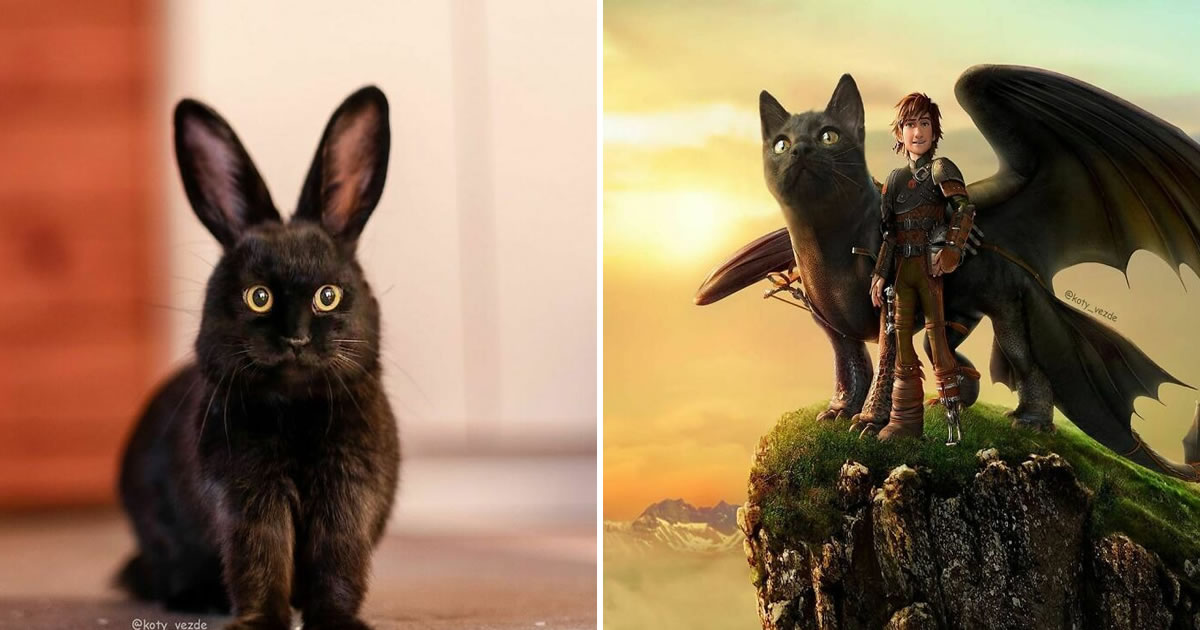 Alguém está colocando rostos de gatos em outros animais e coisas, e os resultados são perturbadoramente divertidos (39 fotos)