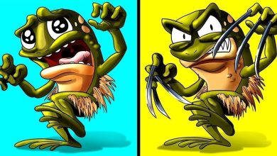 Animais raros com superpoderes reais 6