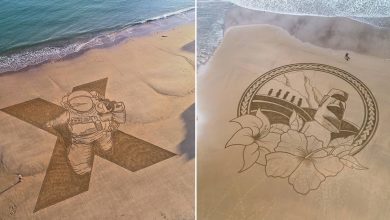 Artista faz enormes desenhos de área que têm entre 30 e 100 metros de largura (34 fotos) 22