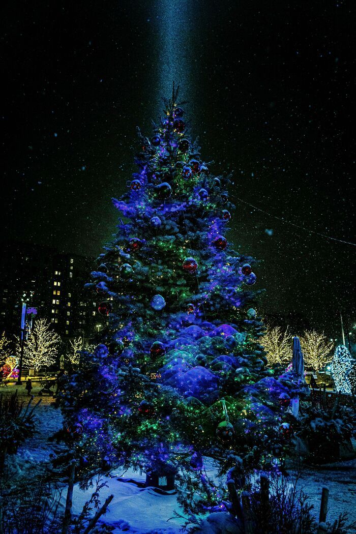 28 árvores de Natal criativas e incríveis 7