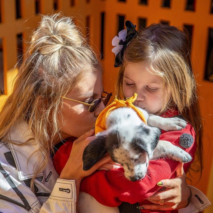 25 celebridades que trouxeram alegria para suas vida com um animal de estimação 1