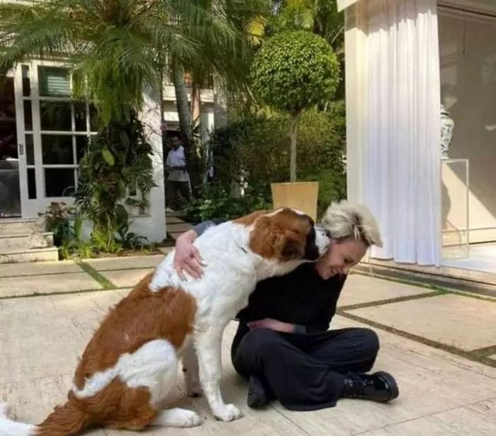 25 celebridades que trouxeram alegria para suas vida com um animal de estimação 3