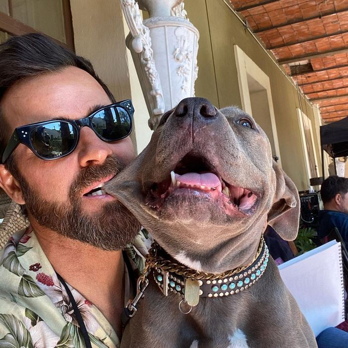 25 celebridades que trouxeram alegria para suas vida com um animal de estimação 15