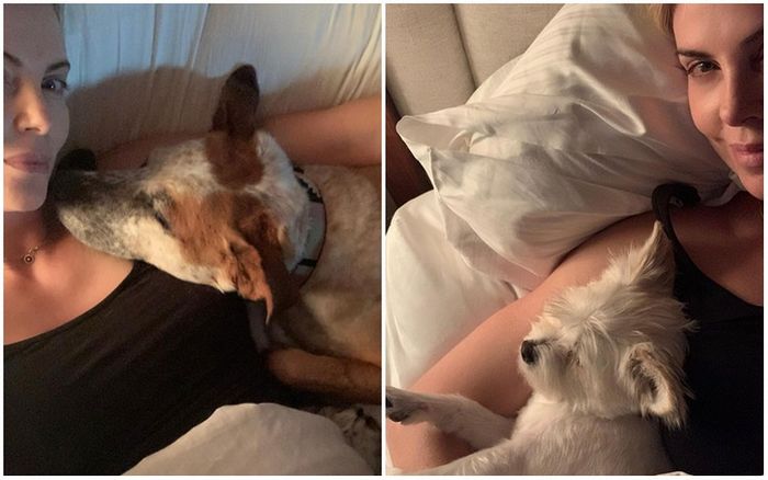 25 celebridades que trouxeram alegria para suas vida com um animal de estimação 19