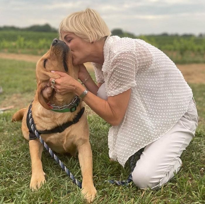 25 celebridades que trouxeram alegria para suas vida com um animal de estimação 21