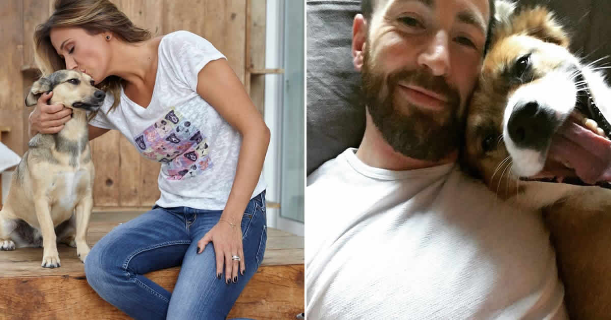 25 celebridades que trouxeram alegria para suas vida com um animal de estimação