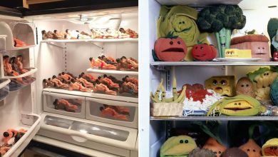 22 fotos de coisas estranhas e bizarras encontradas em geladeiras 10