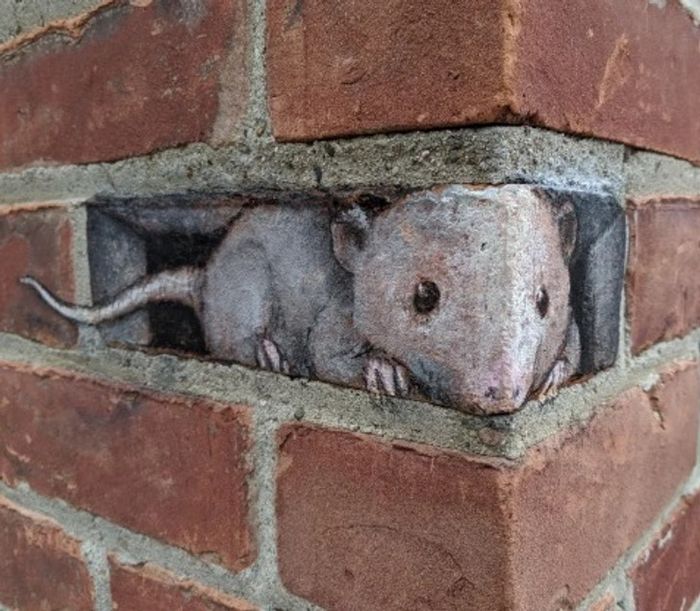 22 fotos que provam que a imaginação pode dar vida a qualquer coisa 16