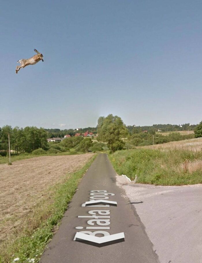 46 momentos mais divertidos e ridículos já capturados pelas câmeras do Google Street View 28