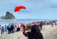 O que eles viram no meio do oceano deixou todo mundo sem palavras 31