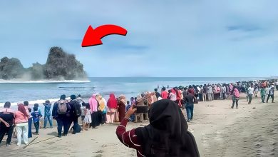 O que eles viram no meio do oceano deixou todo mundo sem palavras 5