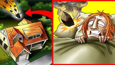 Pessoas sortudas que sobreviveram ao impossível 10