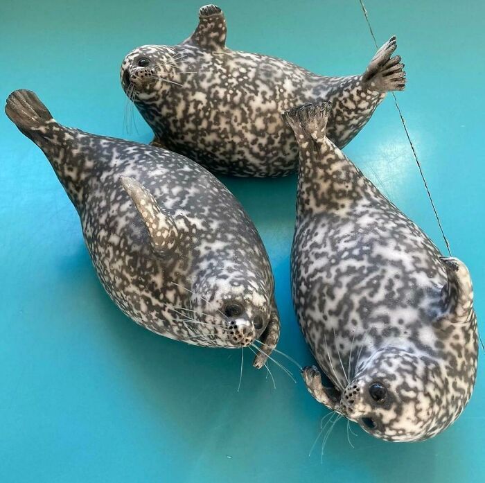 36 vezes que os entusiastas da cerâmica criaram algo tão legal e único 19