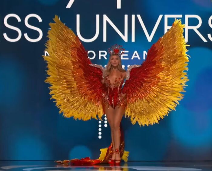 32 concorrentes do Miss Universo vestindo “trajes nacionais” 8