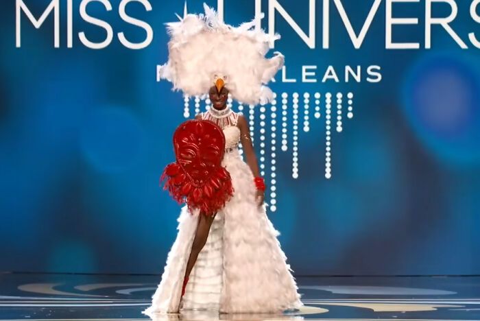 32 concorrentes do Miss Universo vestindo “trajes nacionais” 24