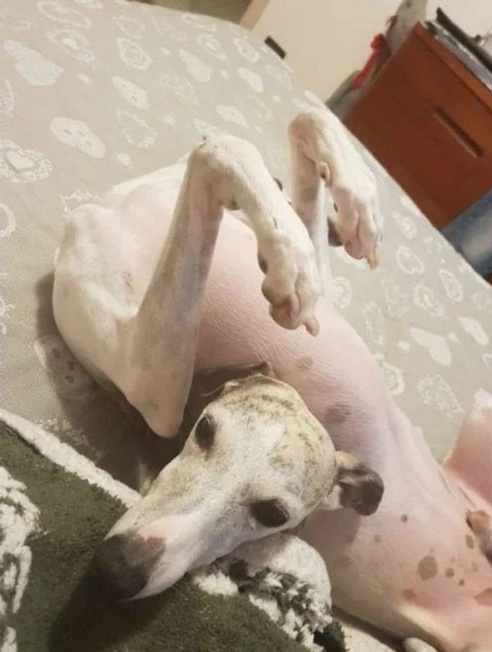 16 fotos que mostram que seu cérebro pode facilmente enganá-lo e contar uma história totalmente diferente 3