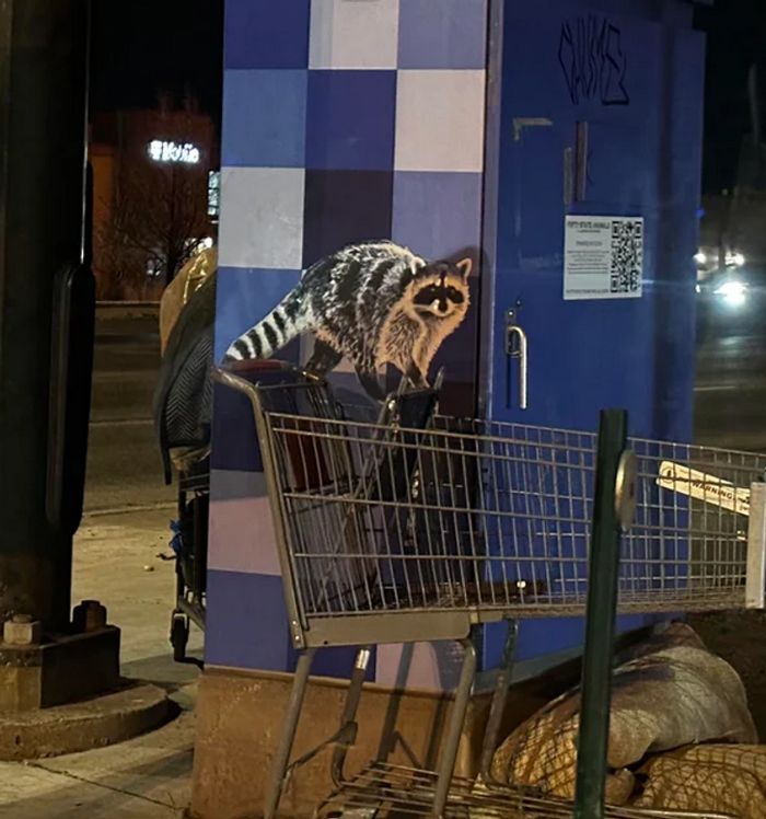 16 fotos que mostram que seu cérebro pode facilmente enganá-lo e contar uma história totalmente diferente 15