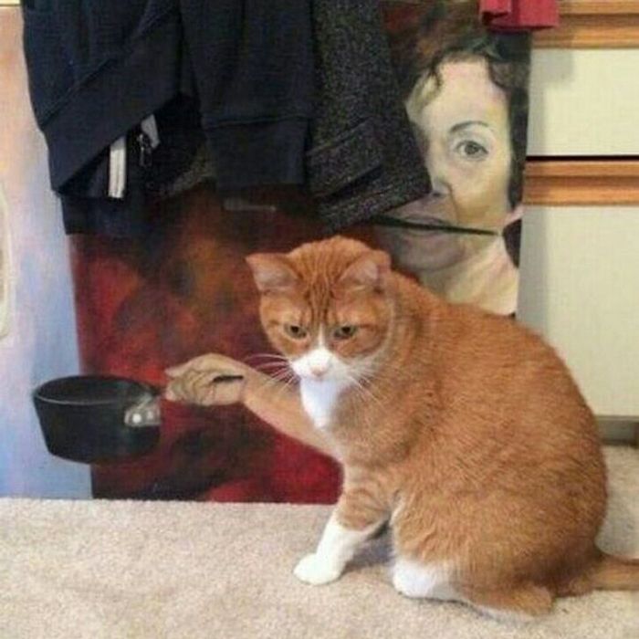 16 fotos que mostram que seu cérebro pode facilmente enganá-lo e contar uma história totalmente diferente 16