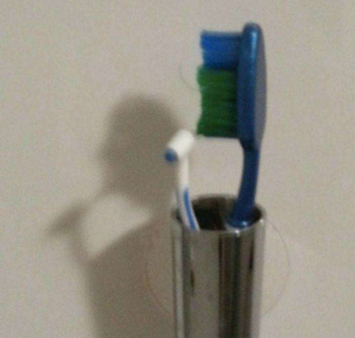 16 fotos que temos que olhar duas vezes para entender 1