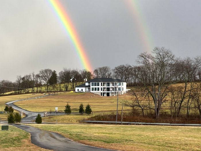 16 fotos que temos que olhar duas vezes para entender 6