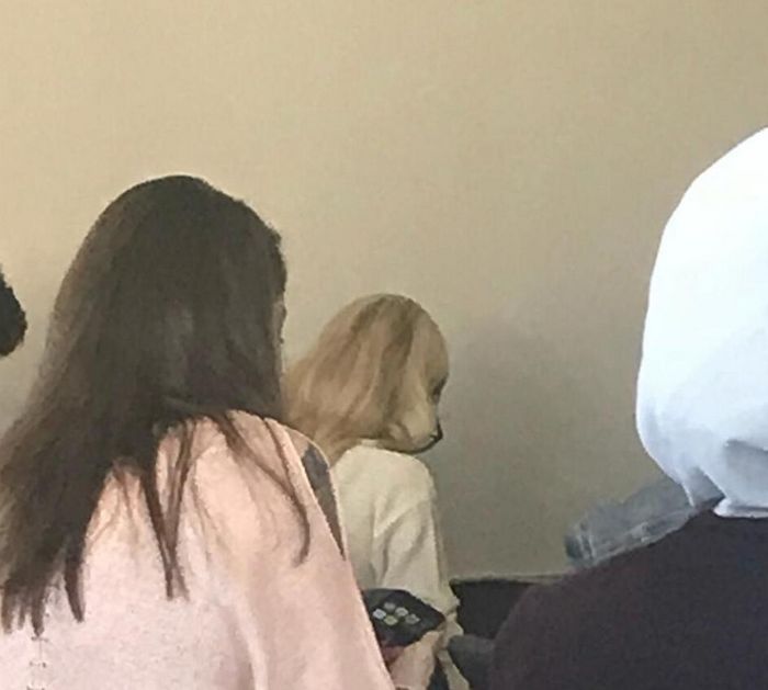 16 fotos que temos que olhar duas vezes para entender 8