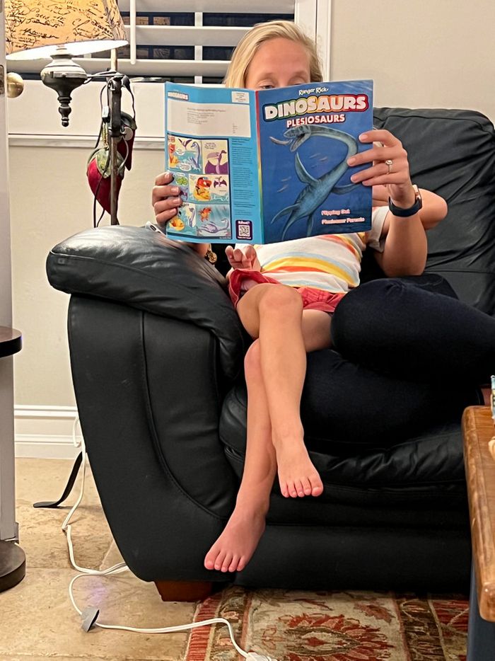 16 fotos que temos que olhar duas vezes para entender 12