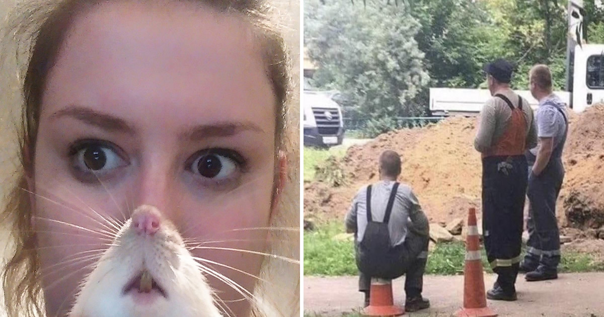 16 fotos que temos que olhar duas vezes para entender