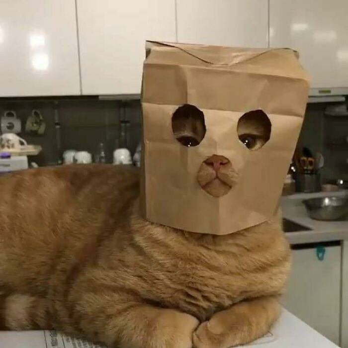 32 fotos sem contexto compartilhadas nesta página do Facebook 1