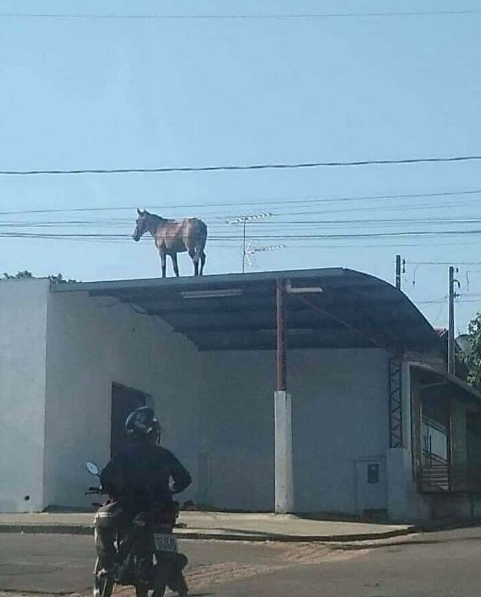 32 fotos sem contexto compartilhadas nesta página do Facebook 13