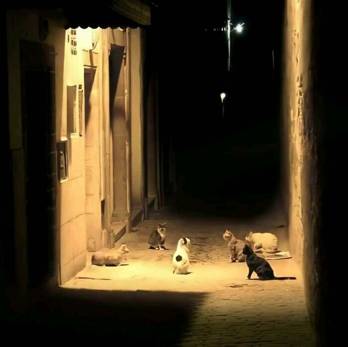 32 fotos sem contexto compartilhadas nesta página do Facebook 18