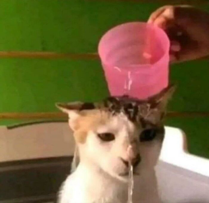 32 fotos sem contexto compartilhadas nesta página do Facebook 25