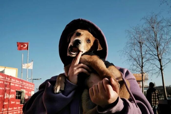 30 imagens mais impressionantes do reino animal para um pouco de entretenimento e risos 13