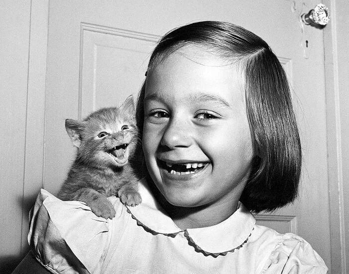 30 imagens mais impressionantes do reino animal para um pouco de entretenimento e risos 27