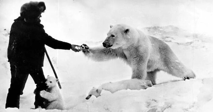 30 imagens mais impressionantes do reino animal para um pouco de entretenimento e risos 29